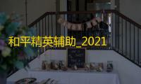 和平精英辅助_2021最新和平精英辅助_和平精英辅助